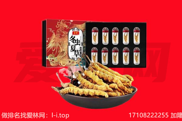 乳源县回收虫草.jpg